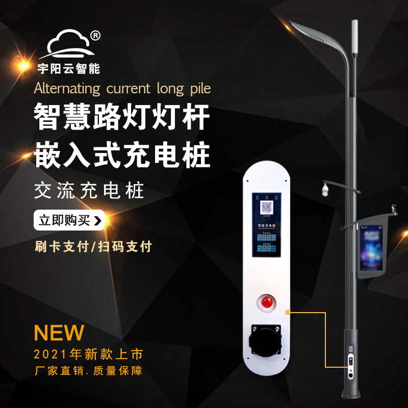 電動(dòng)汽車新能源交流智慧路燈燈桿充電樁單槍雙槍